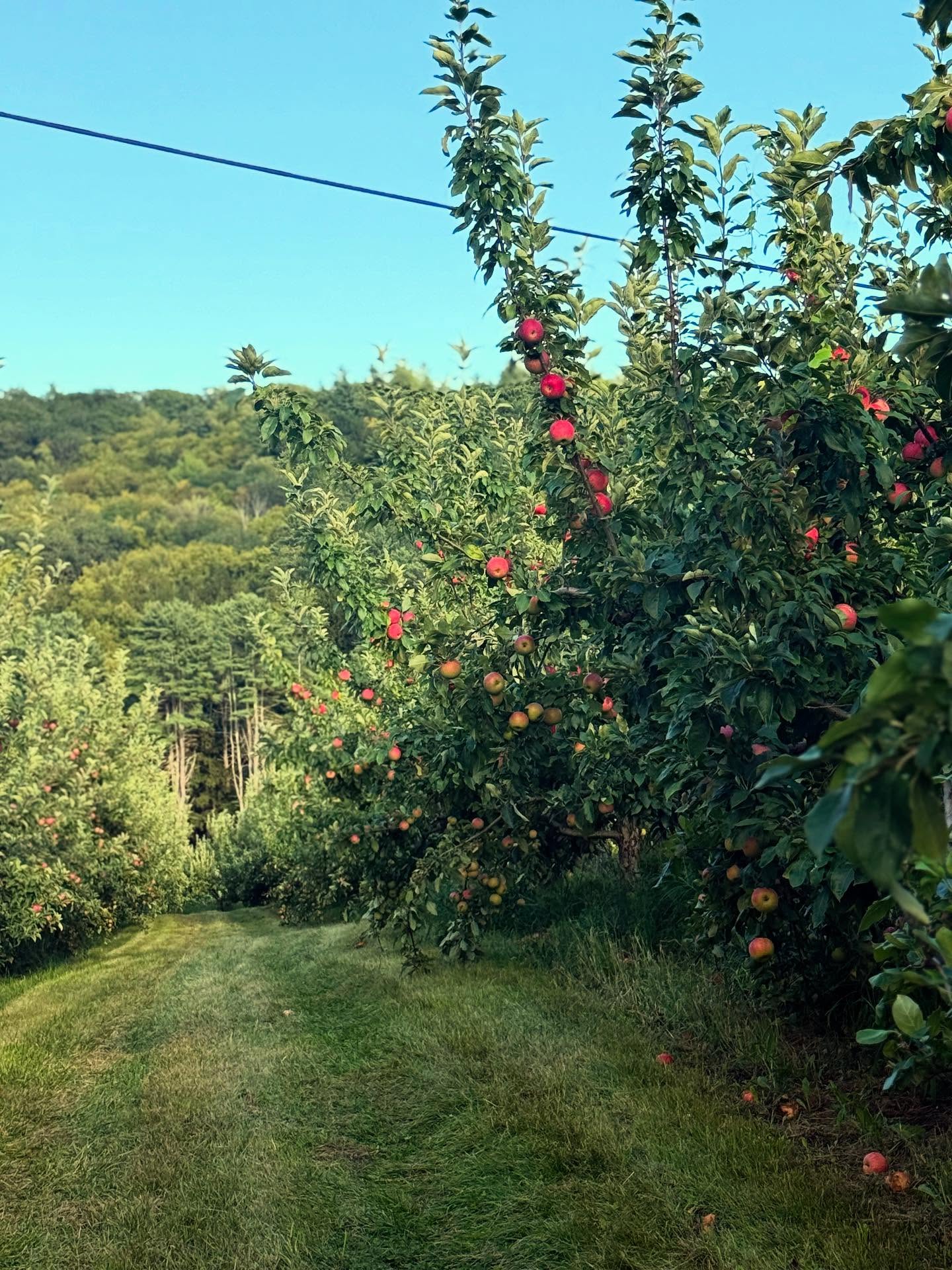 Local Flavors & Farm Trails