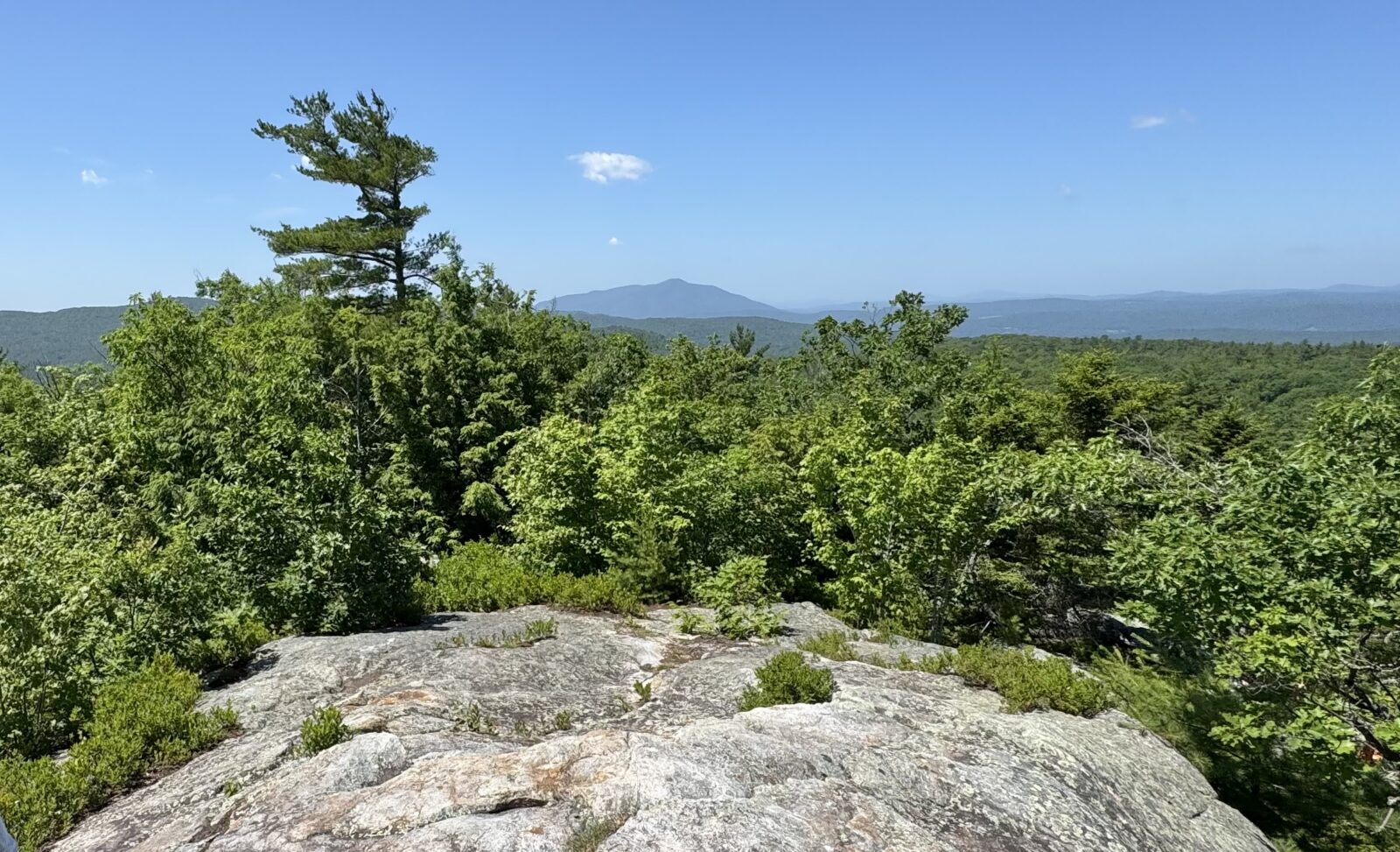 Plainfield’s French’s Ledges – A View Worth Conserving